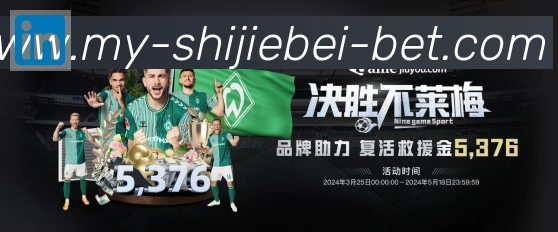 战术分析频道